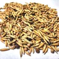 Семена трав "Вико-овсяная смесь" Скорая помощь 500 гр